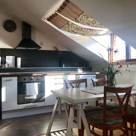Apartman Slovinska 28 布尔诺 外观 照片