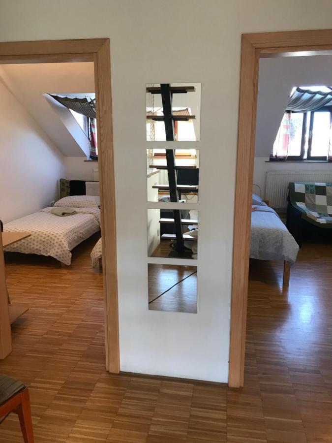 Apartman Slovinska 28 布尔诺 外观 照片