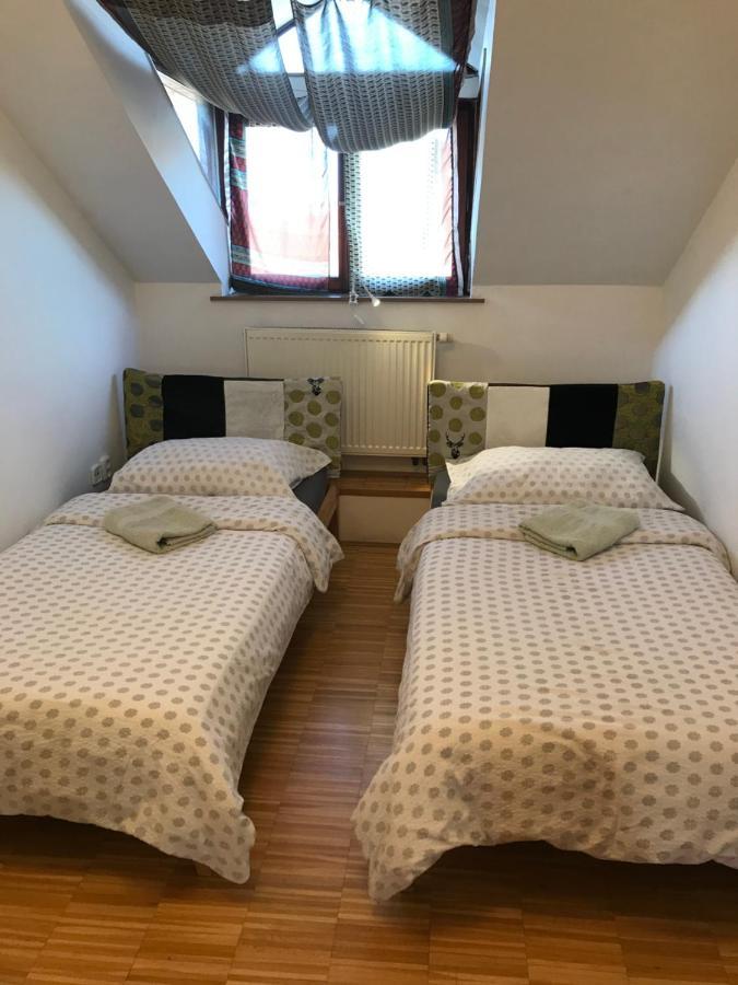 Apartman Slovinska 28 布尔诺 外观 照片
