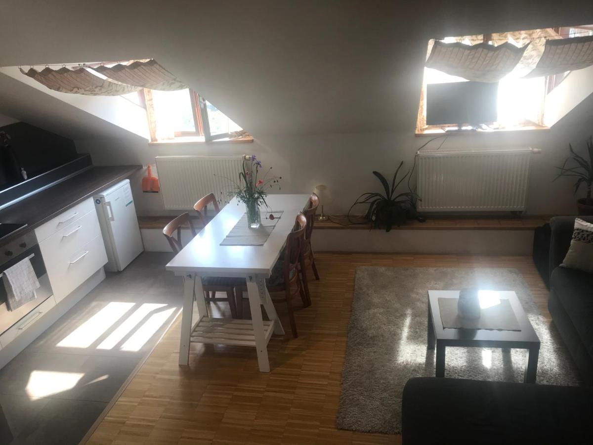Apartman Slovinska 28 布尔诺 外观 照片