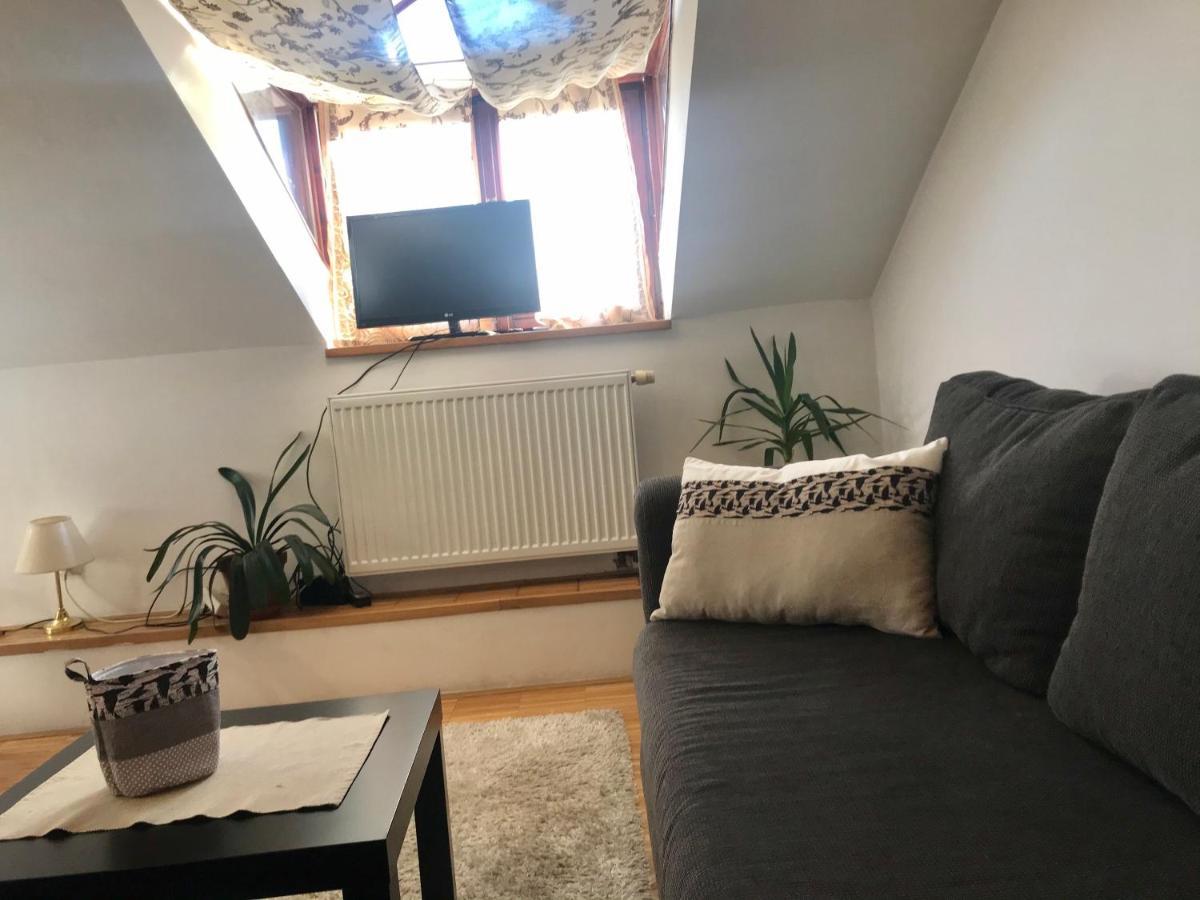 Apartman Slovinska 28 布尔诺 外观 照片