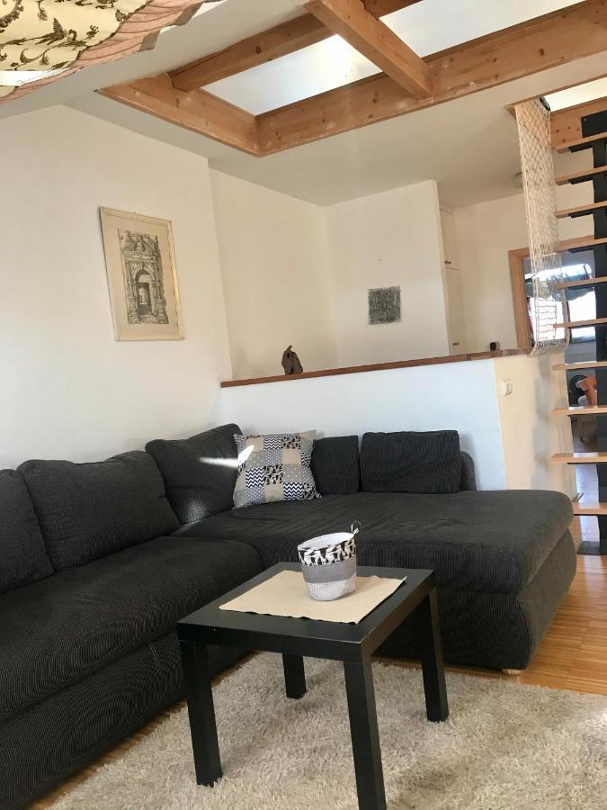 Apartman Slovinska 28 布尔诺 外观 照片
