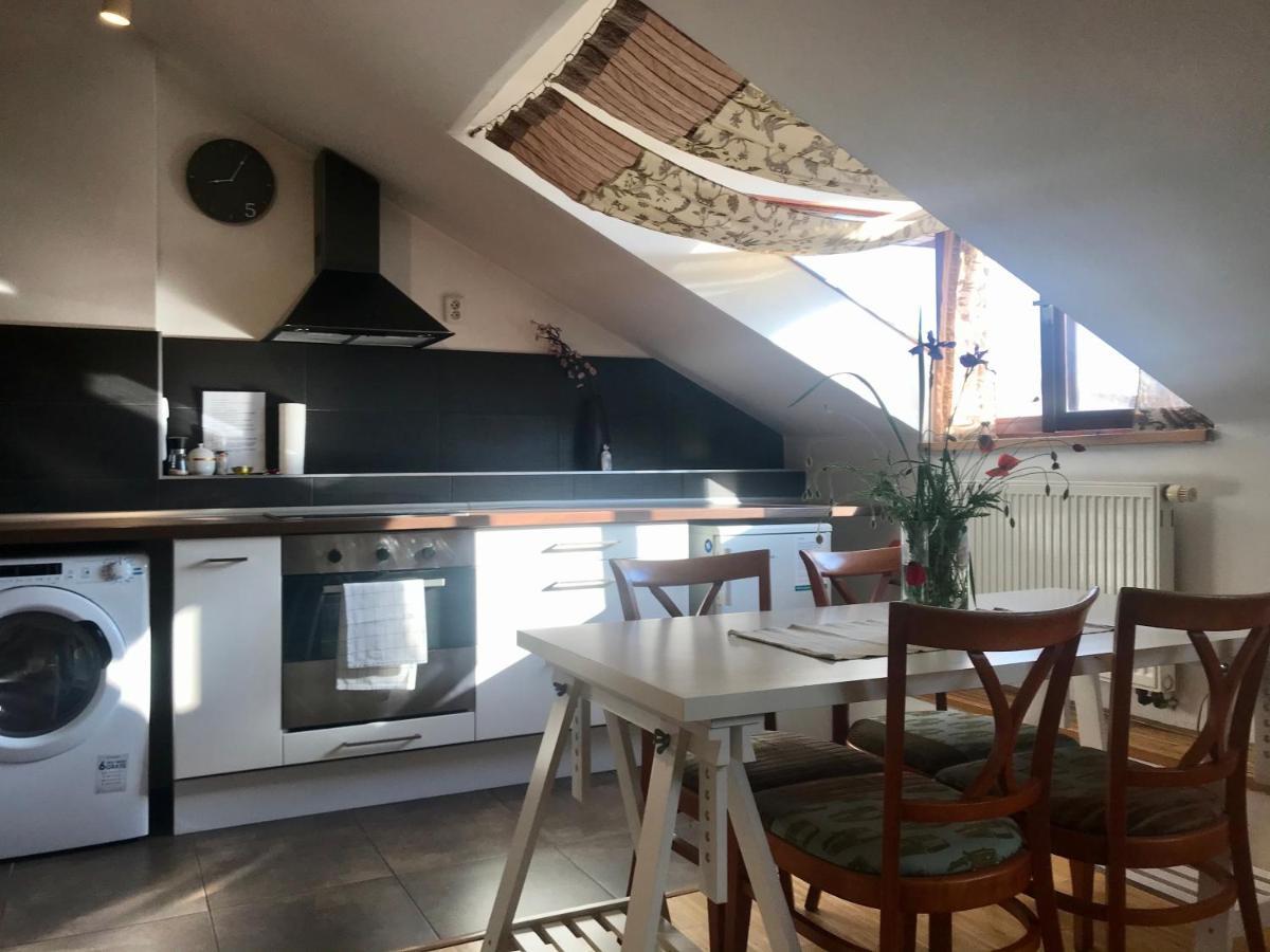 Apartman Slovinska 28 布尔诺 外观 照片