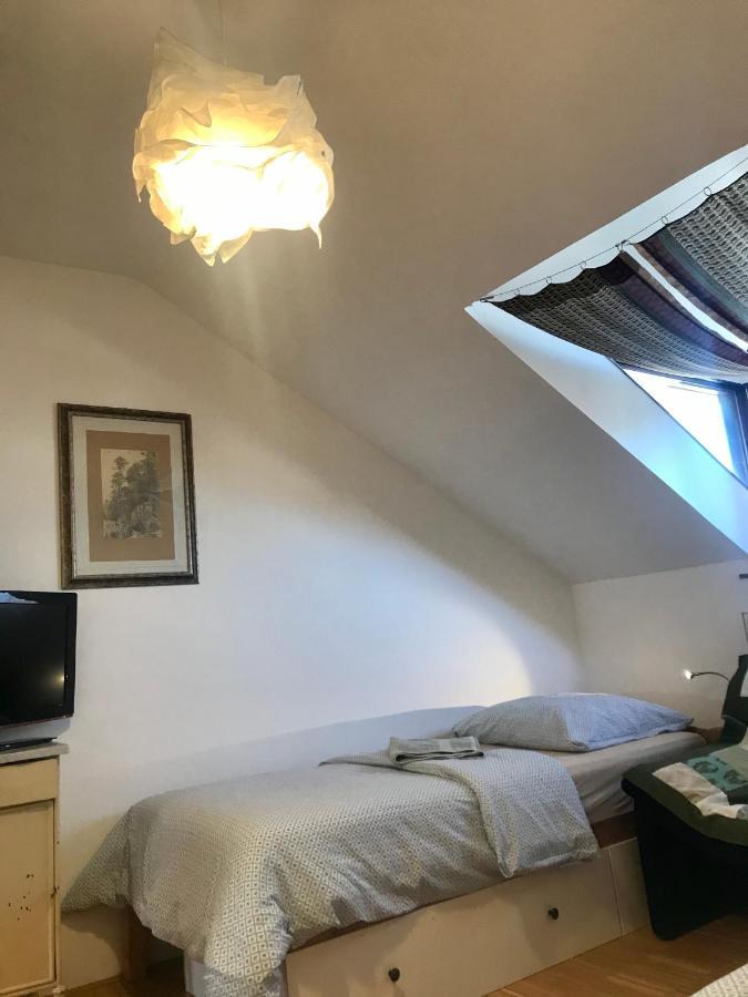 Apartman Slovinska 28 布尔诺 外观 照片