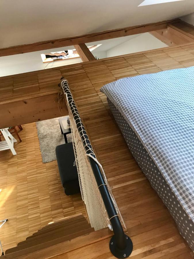 Apartman Slovinska 28 布尔诺 外观 照片