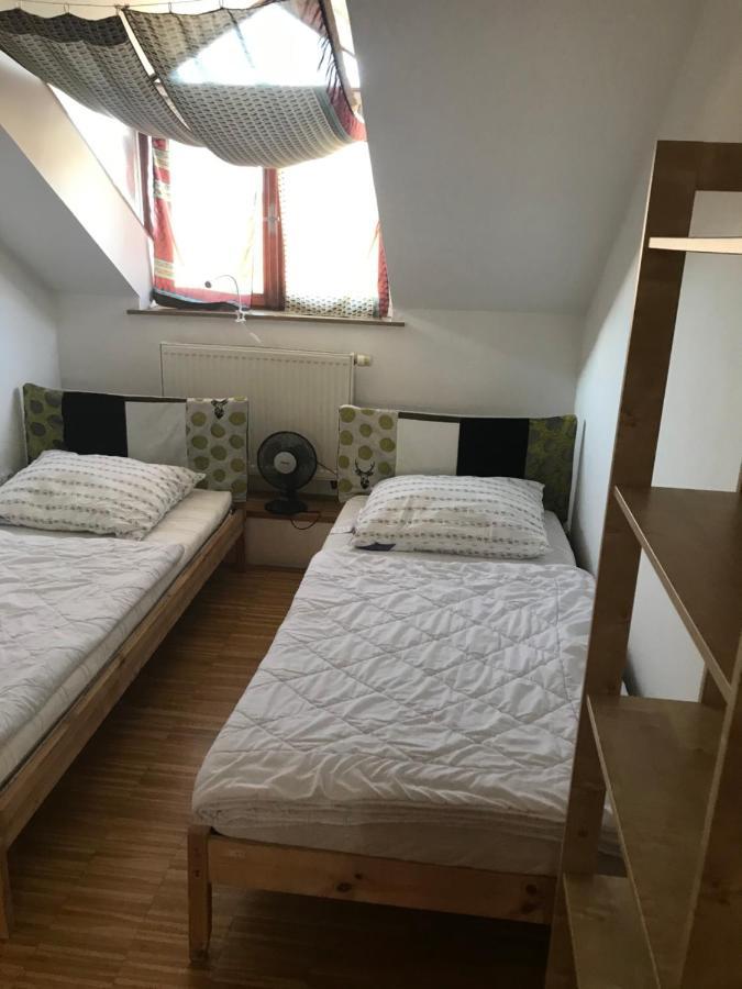 Apartman Slovinska 28 布尔诺 外观 照片