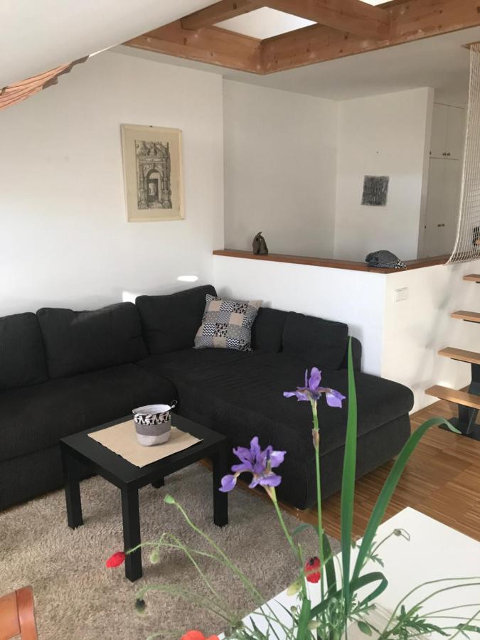 Apartman Slovinska 28 布尔诺 外观 照片