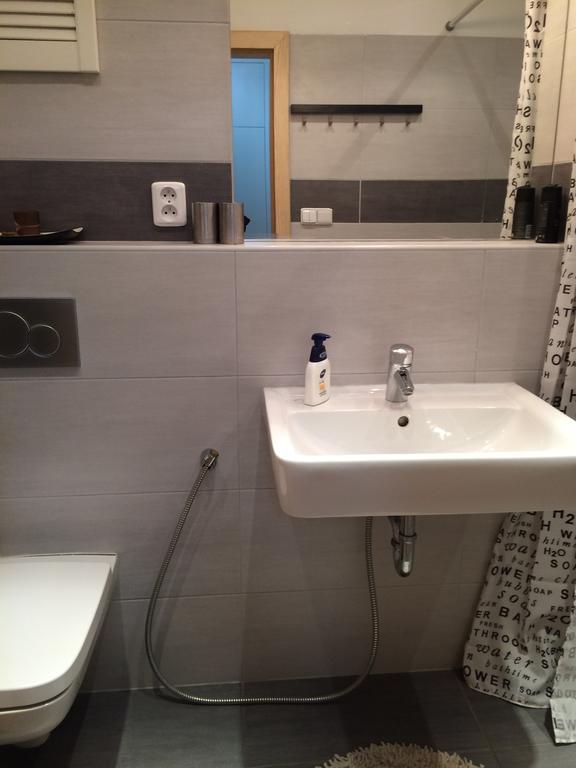 Apartman Slovinska 28 布尔诺 外观 照片