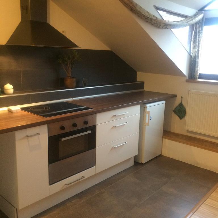 Apartman Slovinska 28 布尔诺 外观 照片