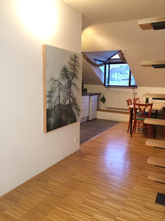 Apartman Slovinska 28 布尔诺 外观 照片