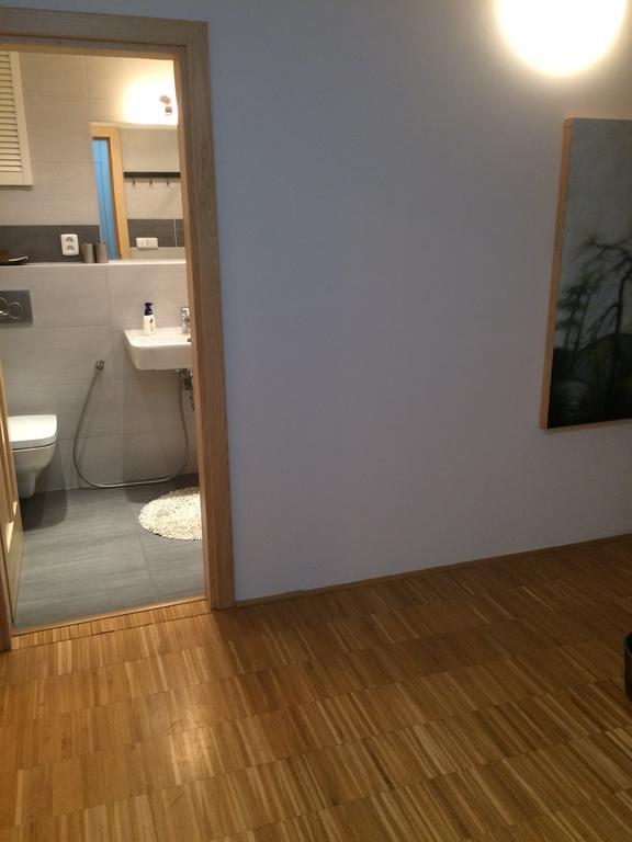 Apartman Slovinska 28 布尔诺 外观 照片